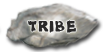 Tribe